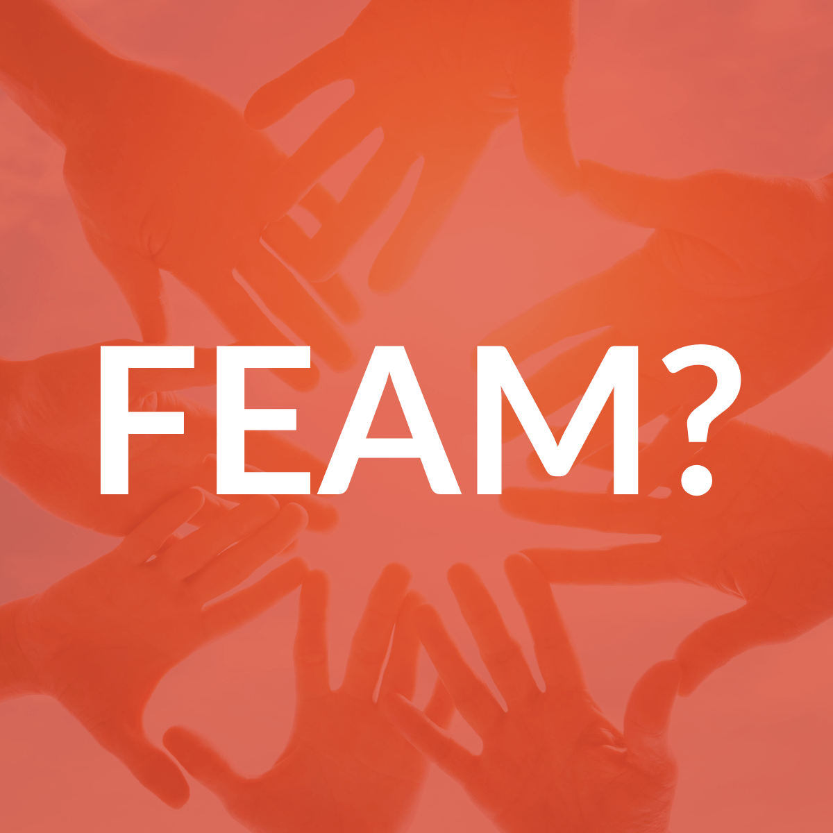 The FEAM: A Family-Driven Team
